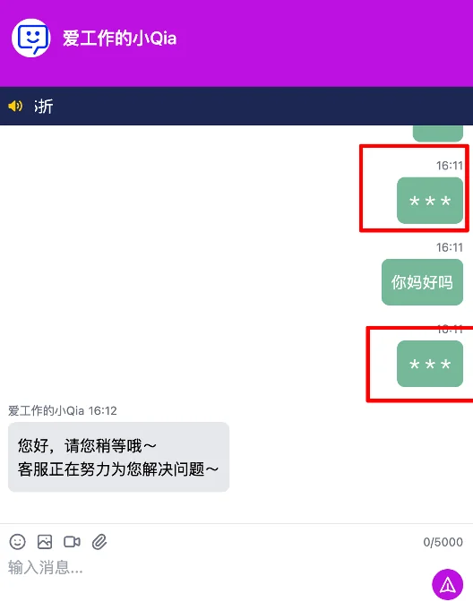 访客端敏感词显示为星号效果